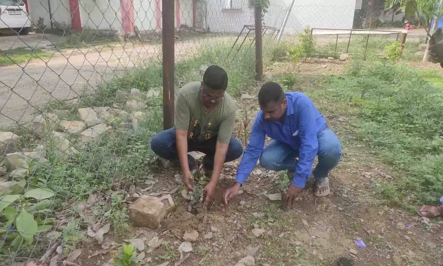 एक पेड़ माँ के नाम, प्रधान डाकघर रीवा परिसर में रोपे गए 101 पौधे एक पेड़ माँ के नाम, प्रधान डाकघर रीवा परिसर में रोपे गए 101 पौधे