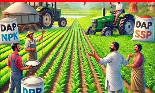 रीवा में डीएपी की कमी नहीं, NPK और SSP से भी मिलेगा बेहतर उत्पादन : उपसंचालक कृषि रीवा में डीएपी की कमी नहीं, NPK और SSP से भी मिलेगा बेहतर उत्पादन : उपसंचालक कृषि