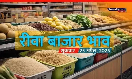 रीवा बाजार भाव (25 अप्रैल 2025): सोना-चांदी स्थिर, जानें अनाज, सब्जी, सीमेंट, सरिया और अन्य जरूरी चीजों के ताजा रेट