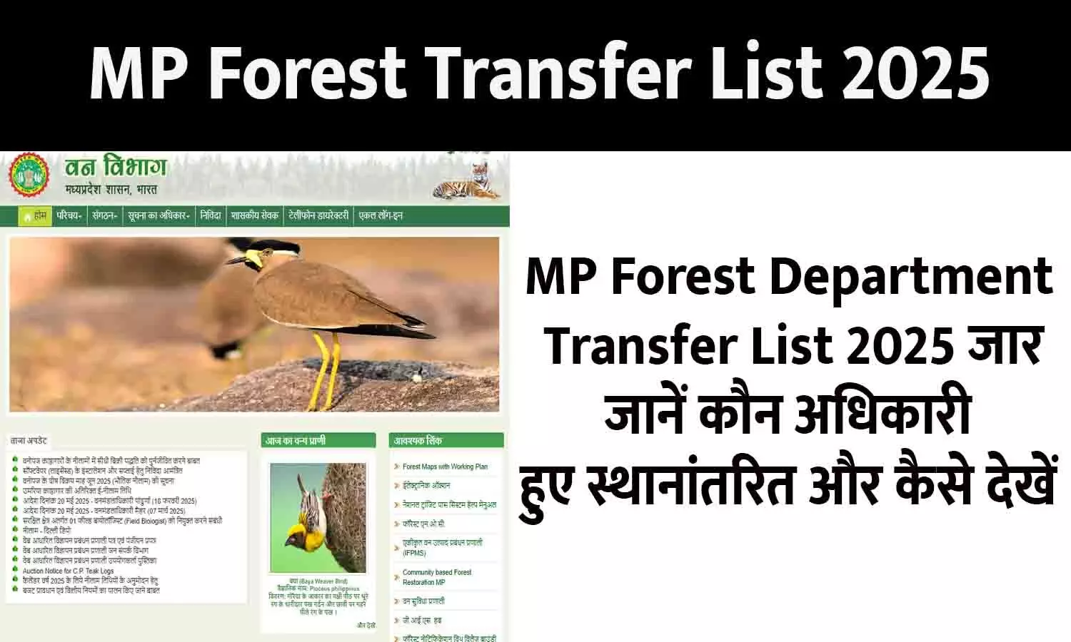 MP Forest Transfer List PDF