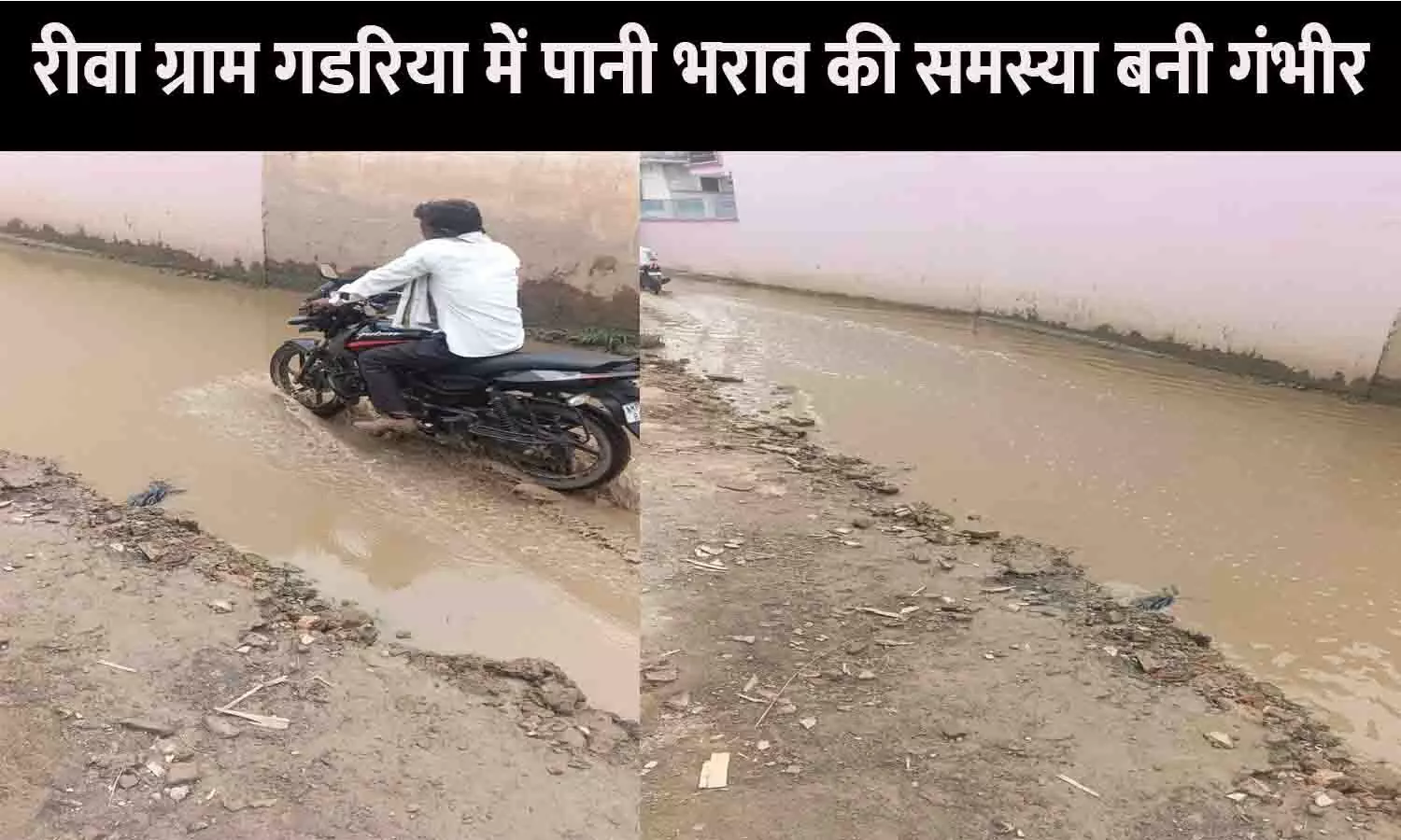 रीवा ग्राम गडरिया में पानी भराव की समस्या बनी गंभीर, नहीं हो रहा समाधान