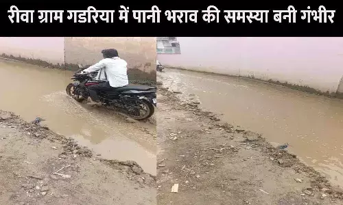 रीवा ग्राम गडरिया में पानी भराव की समस्या बनी गंभीर, नहीं हो रहा समाधान रीवा ग्राम गडरिया में पानी भराव की समस्या बनी गंभीर, नहीं हो रहा समाधान