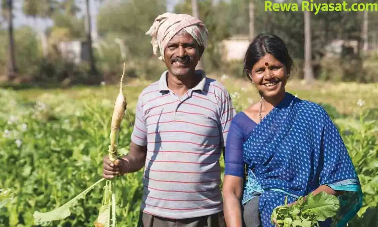 Dayalu Yojana Dayalu Yojana