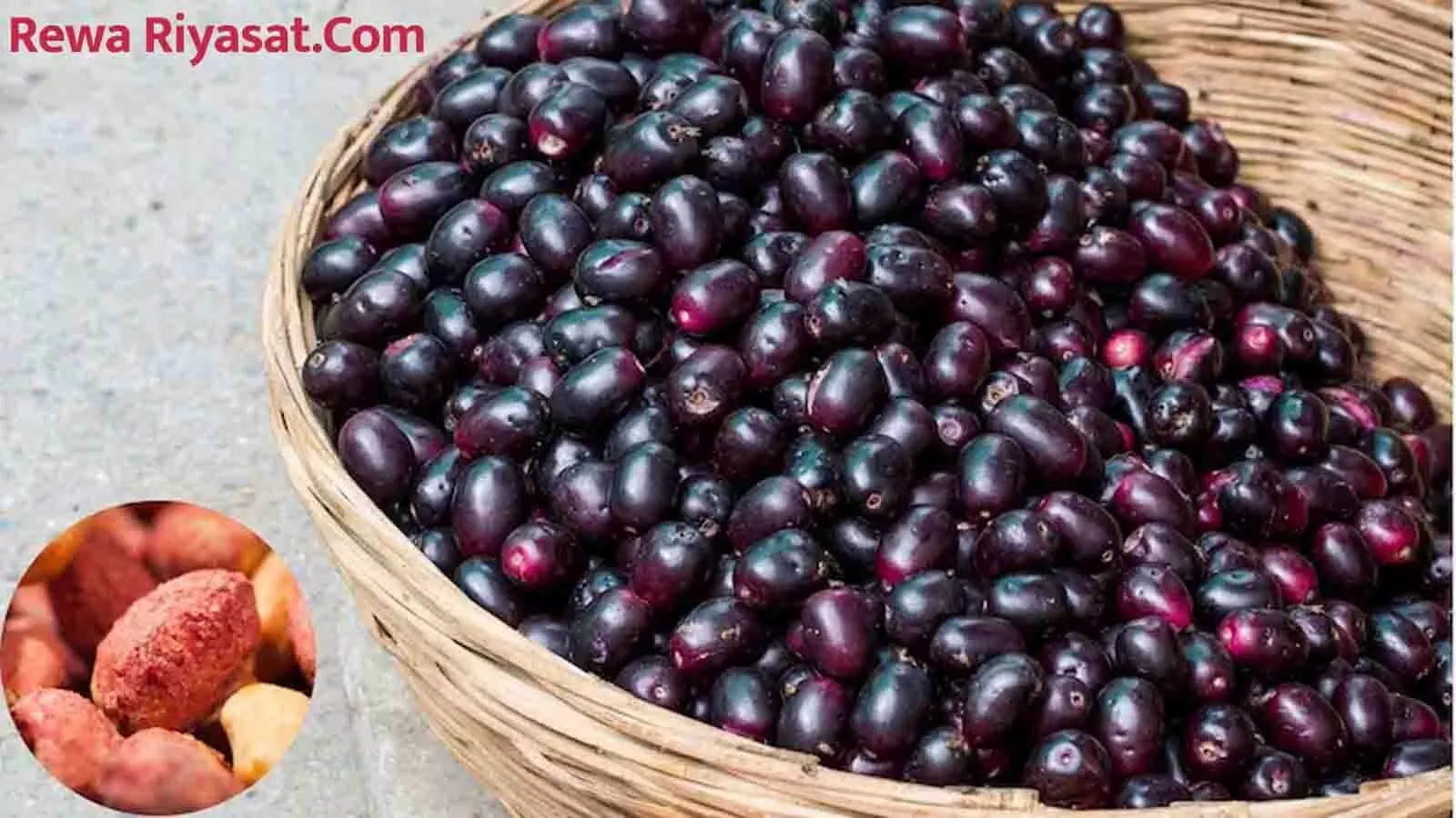 Jamun Seed Beneficial in Diabetes:डायबिटीज में कैसे फायदेमंद है जामुन की गुठली? जानें सही तरीका