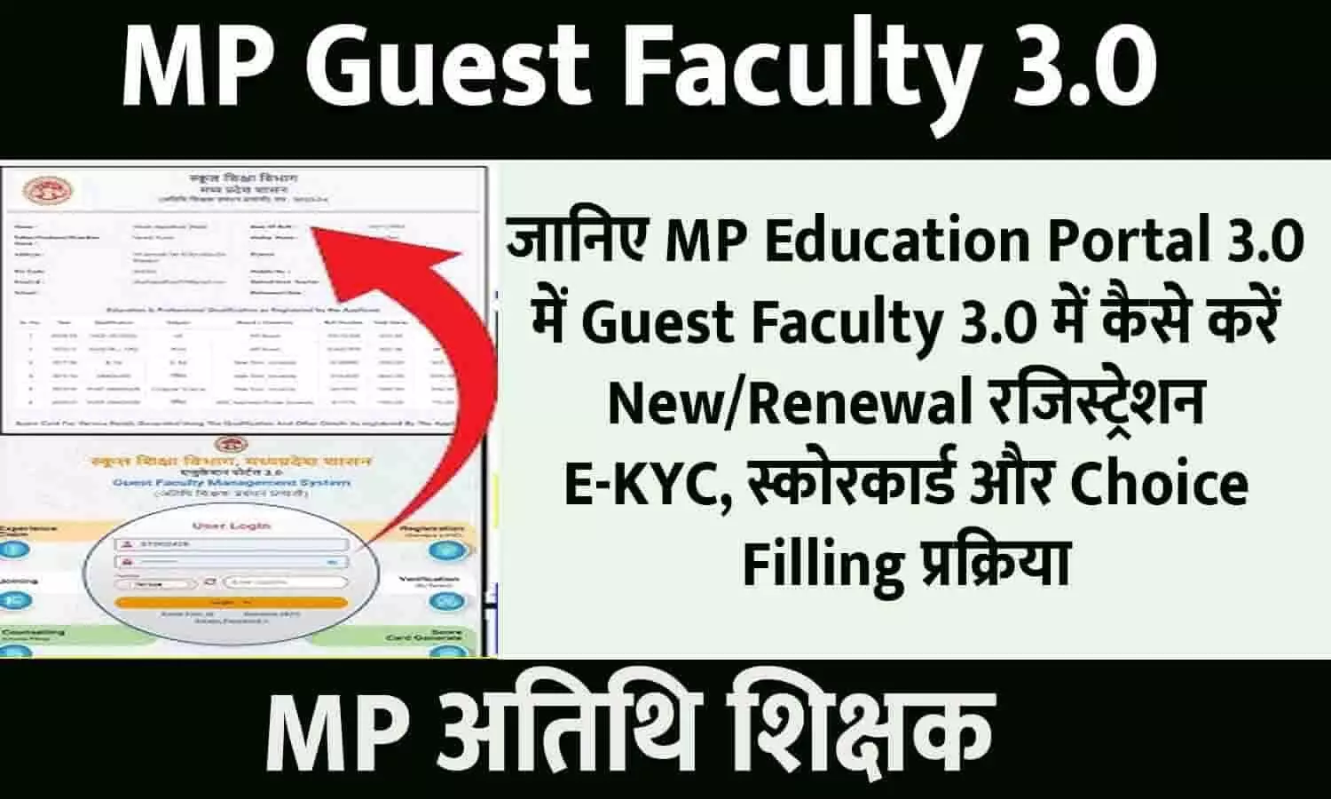 MP Guest Faculty 3.0