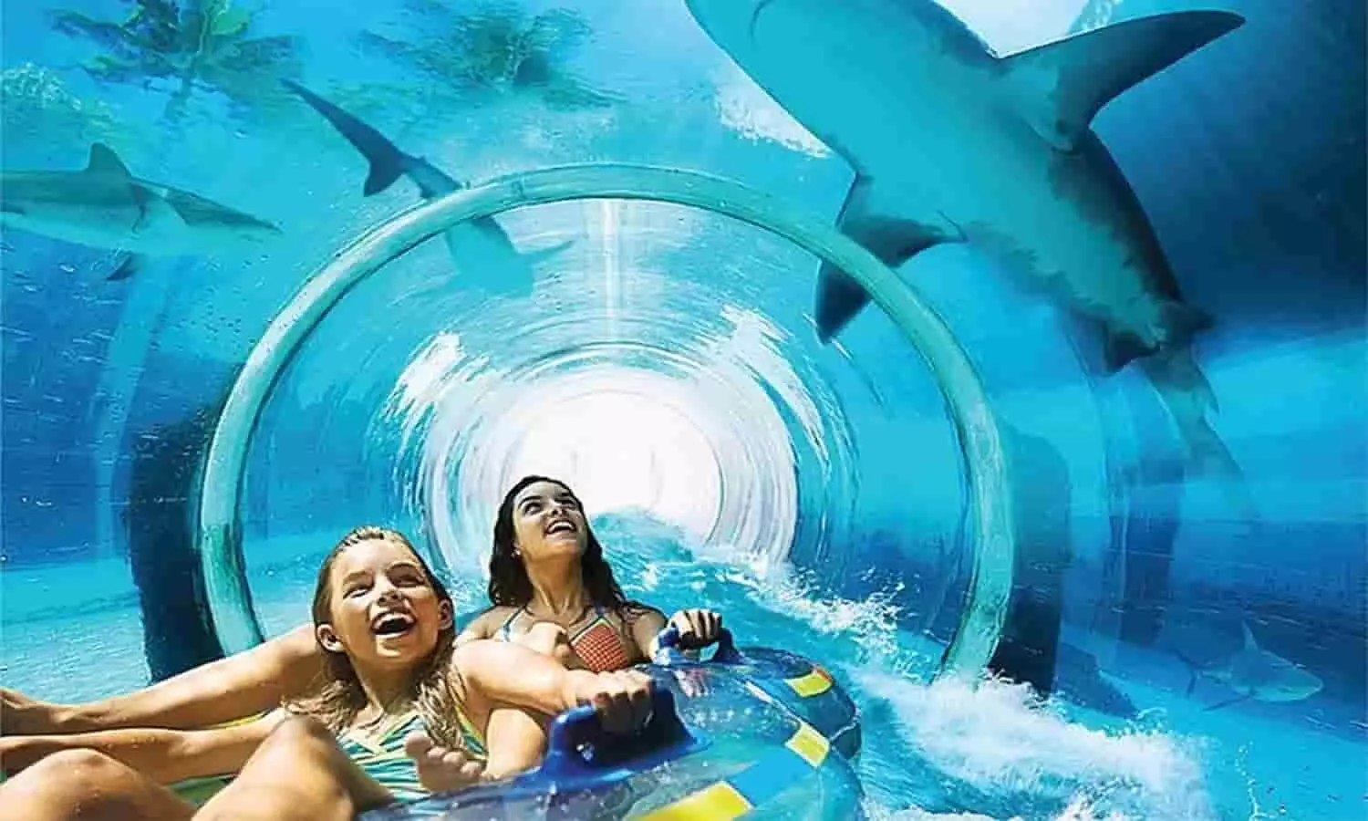 भोपाल में बनेगा अत्याधुनिक Fish Aqua Park, बच्चों के लिए रोमांचक स्थल