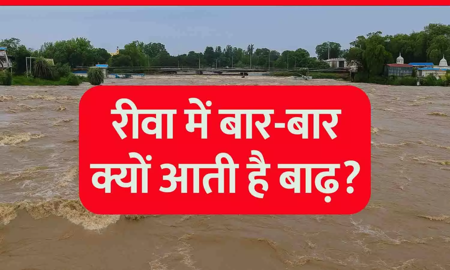 रीवा में बार-बार क्यों आती है बाढ़: हर साल बाढ़ का खतरा, क्या शहर ने नहीं सीखा अतीत की गलतियों से सबक? रीवा में बार-बार क्यों आती है बाढ़: हर साल बाढ़ का खतरा, क्या शहर ने नहीं सीखा अतीत की गलतियों से सबक?