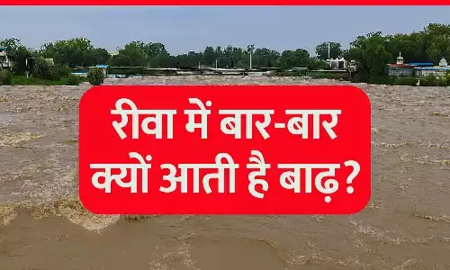 रीवा में बार-बार क्यों आती है बाढ़: हर साल बाढ़ का खतरा, क्या शहर ने नहीं सीखा अतीत की गलतियों से सबक?