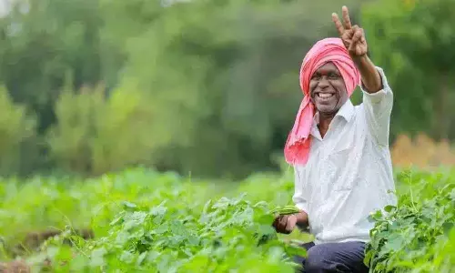 PM Dhan Dhanya Krishi Yojana Kya Hai? किसानों के लिए बड़ी योजना