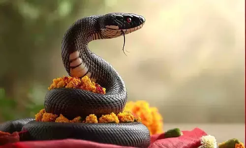 Nag Panchami 2025: जानें शुभ मुहूर्त, तिथि और पूजन विधि
