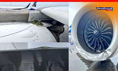 विमान के दाहिने इंजन के ढक्कन (नैसेल) को नुकसान पहुंचा है. विमान के दाहिने इंजन के ढक्कन (नैसेल) को नुकसान पहुंचा है.