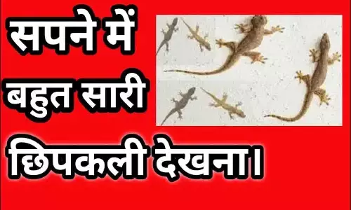 Sapne Mein Bahut Sari Chipakali Dekhne Ka Matlab: अगर आप सपने में बहुत सारी छिपकलियां देखते हैं? तो ये खबर पढ़ उड़ जायेंगे होश.... Sapne Mein Bahut Sari Chipakali Dekhne Ka Matlab: अगर आप सपने में बहुत सारी छिपकलियां देखते हैं? तो ये खबर पढ़ उड़ जायेंगे होश....