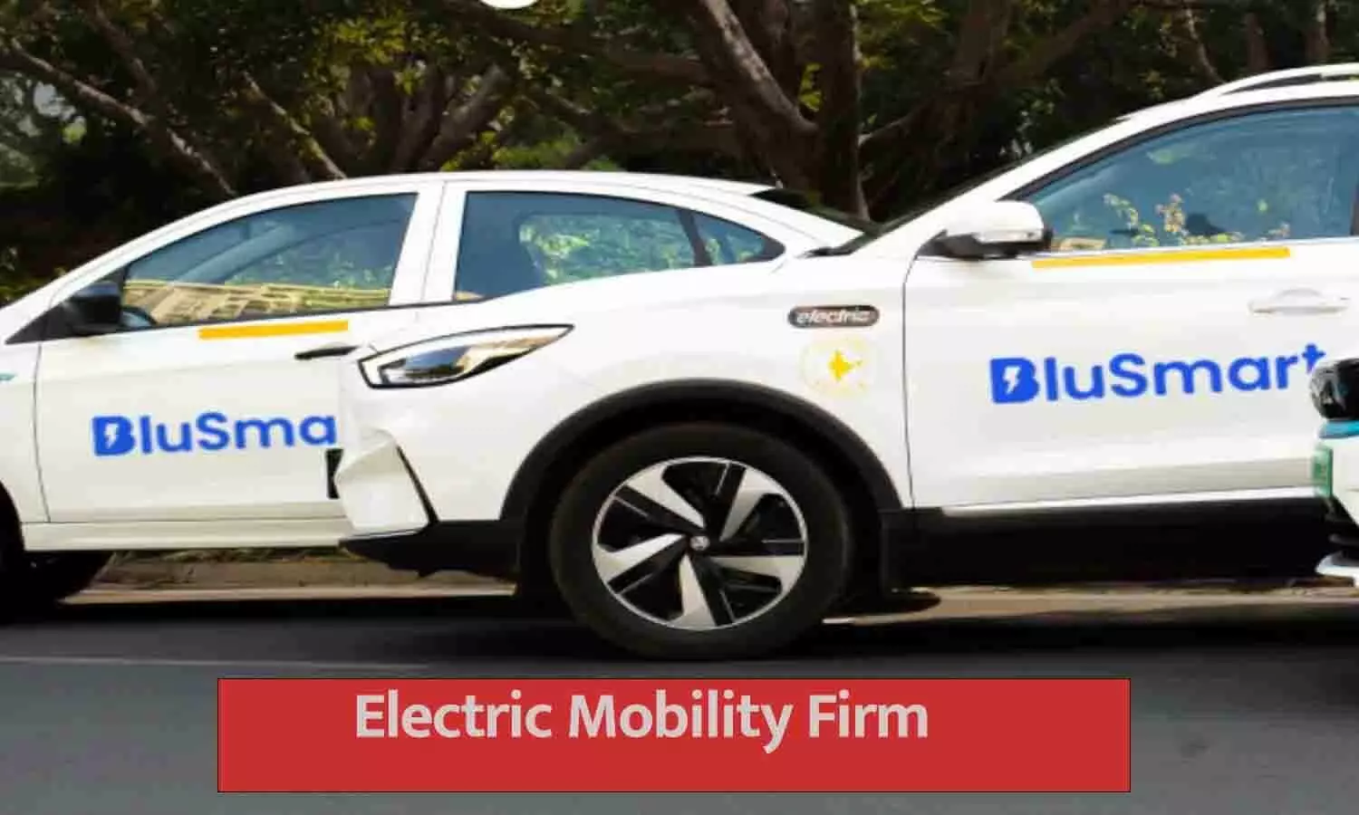 Electric Mobility Firm