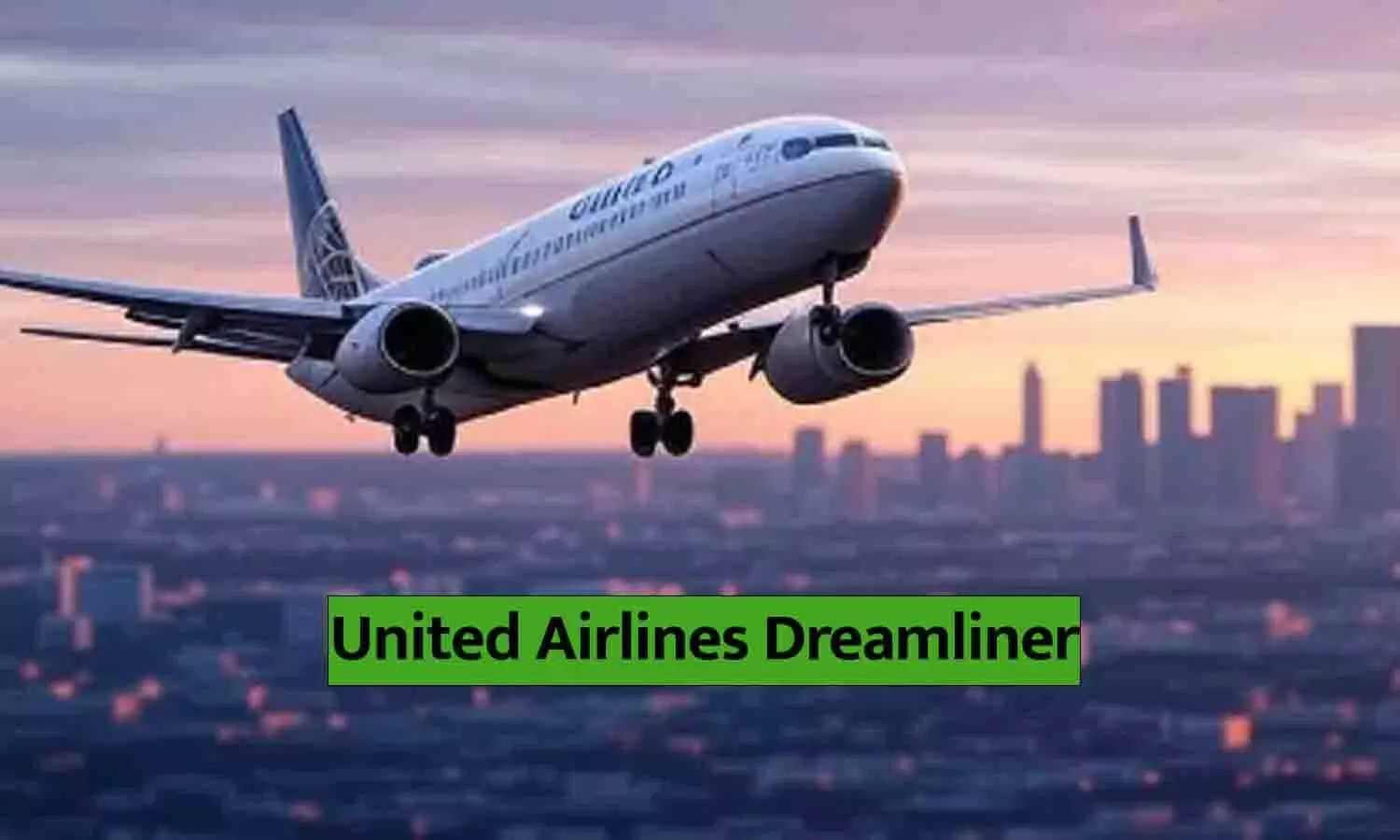 United Airlines Dreamliner