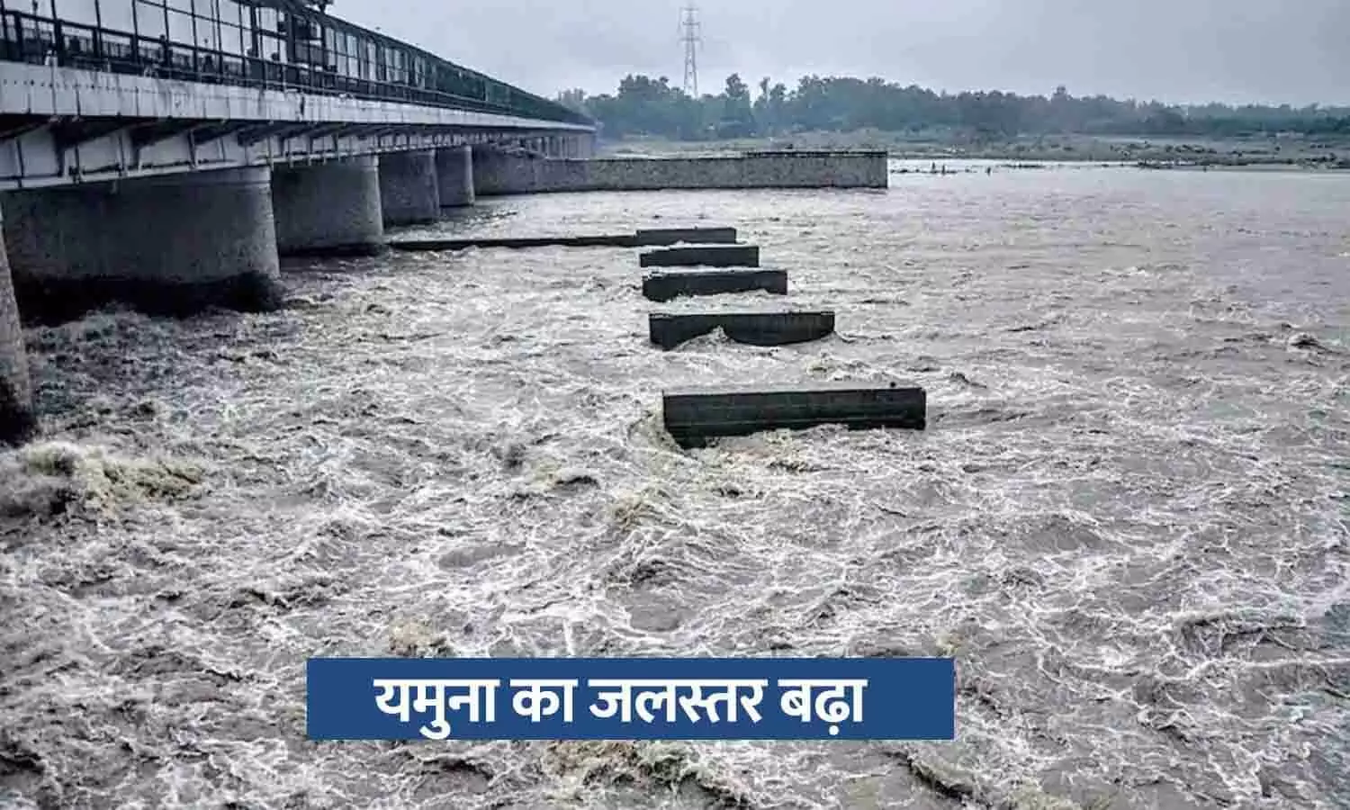 Yamuna Water