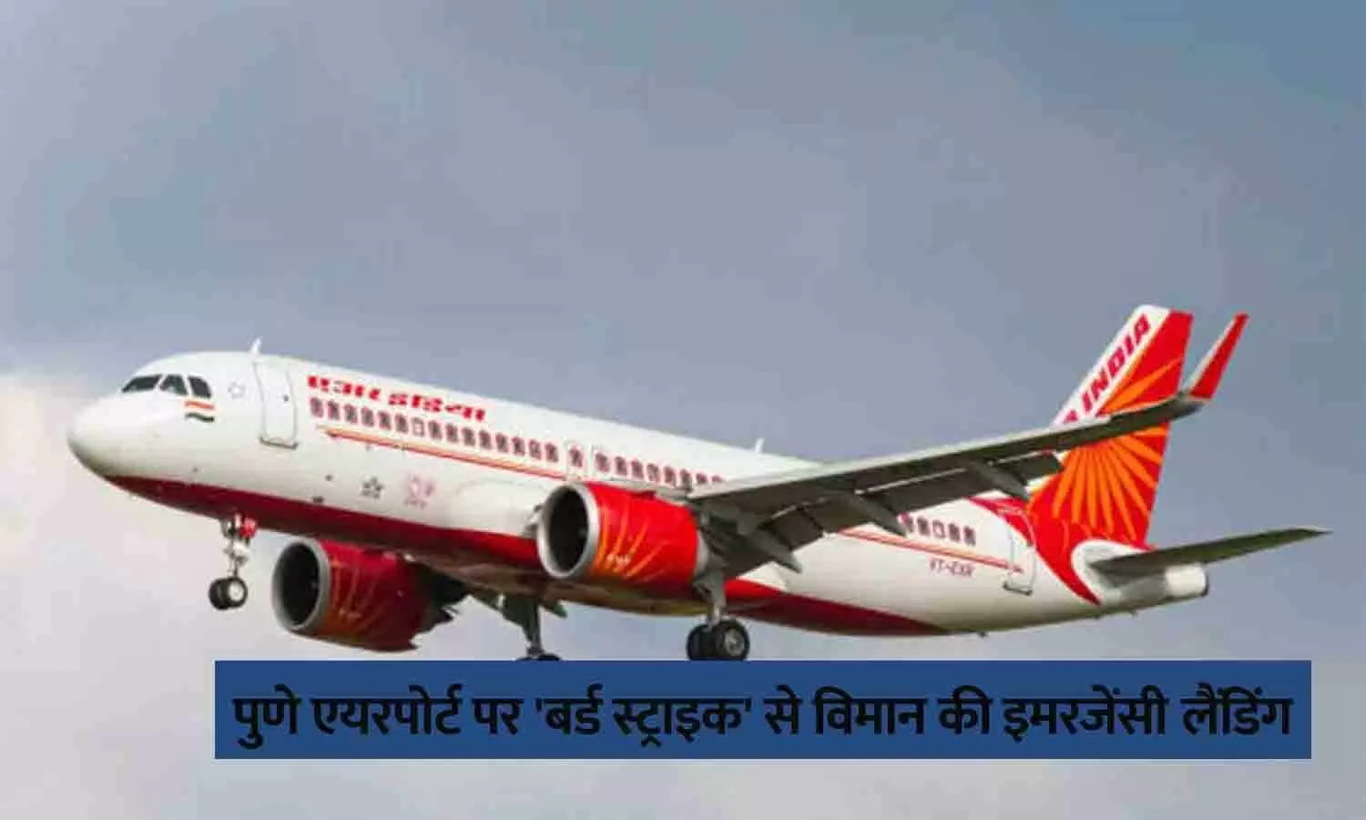 Air india flight