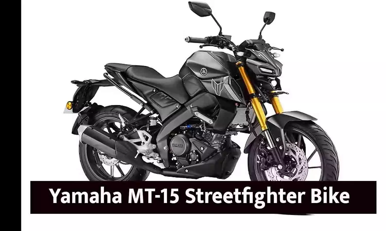 Yamaha MT-15: स्ट्रीटफाइटर 155 cc बाइक | Yamaha MT-15 Streetfighter Bike