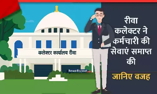 रीवा में एक कर्मचारी की नौकरी गई: अनुकंपा नियुक्ति में फर्जी सर्टिफिकेट लगाया था, कलेक्टर ने सेवा समाप्ति का आदेश जारी किया