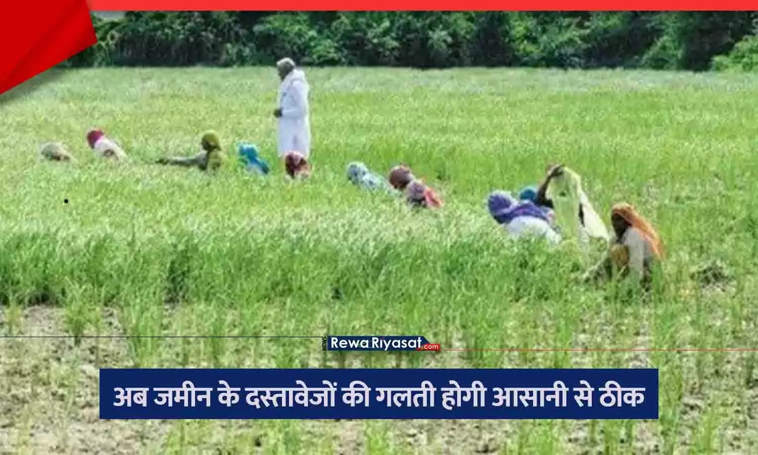 Land Records: अब जमीन के दस्तावेजों की गलती होगी आसानी से ठीक, पूर्वजों की जमीन अपने नाम कराने के लिए इस तरह करें अप्लाई