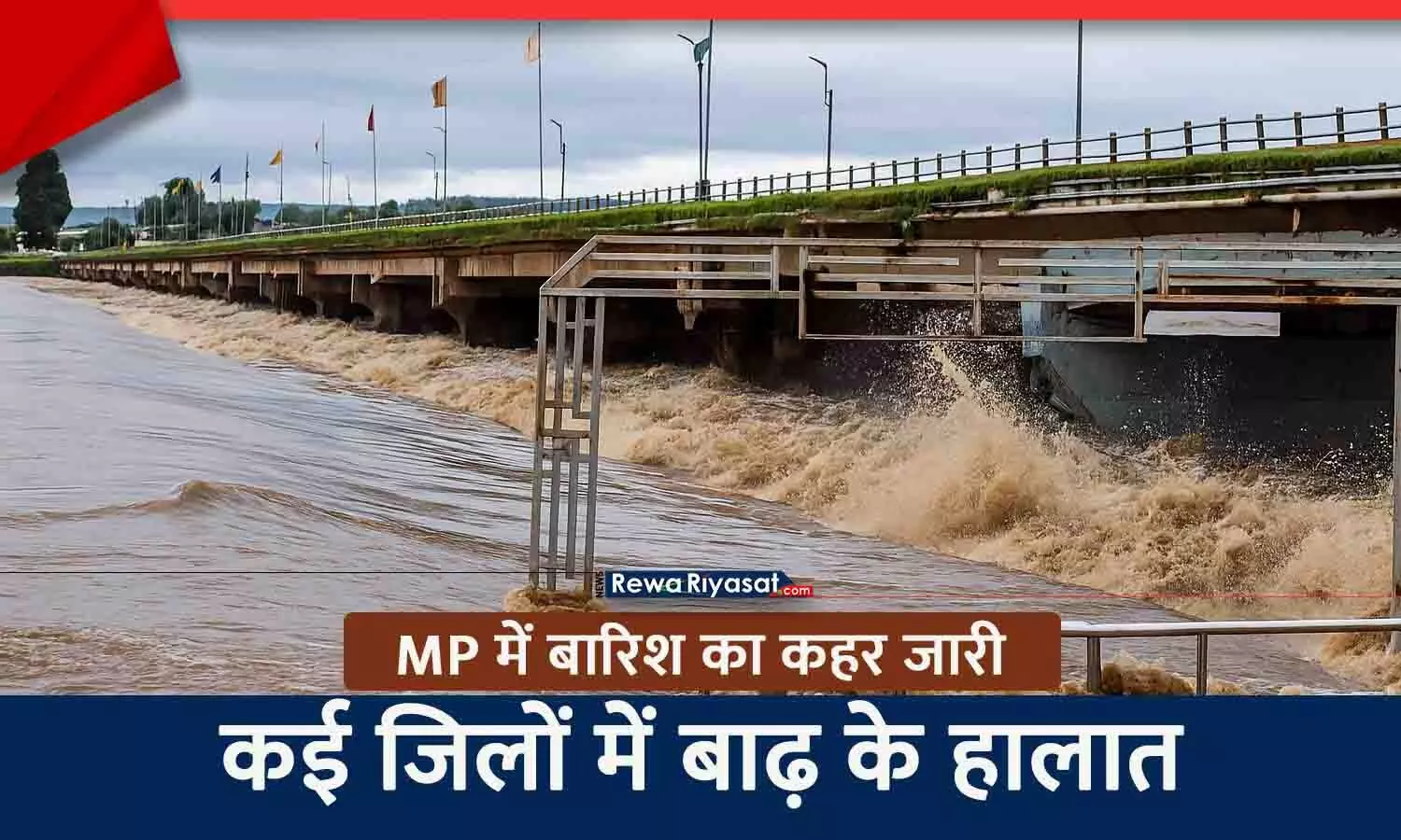 MP में बारिश का कहर जारी: रीवा में रुक-रुक कर बारिश, सतना में बाढ़ के हालात, निचली बस्तियां डूबी; नर्मदा और अन्य नदियां उफान पर