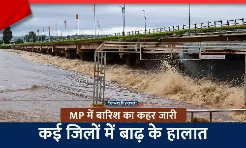 MP में बारिश का कहर जारी: रीवा में रुक-रुक कर बारिश, सतना में बाढ़ के हालात, निचली बस्तियां डूबी; नर्मदा और अन्य नदियां उफान पर