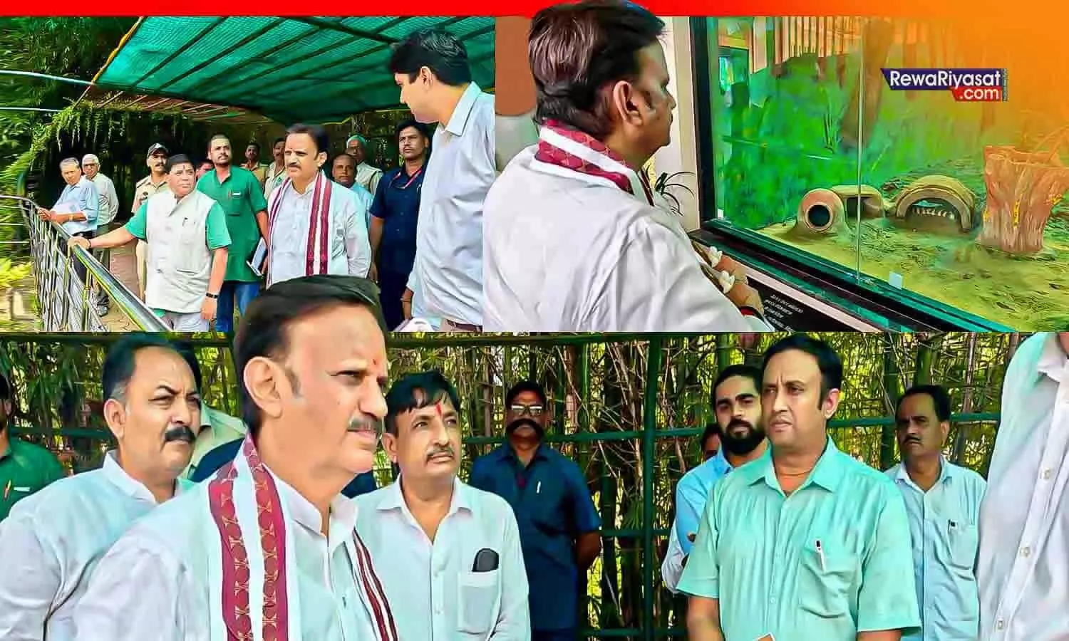 मुकुंदपुर को रीवा जिले में शामिल करने के प्रस्ताव के बीच डिप्टी सीएम राजेंद्र शुक्ल का टाइगर सफारी दौरा, सतना-मैहर के नेताओं की भौहें तनी