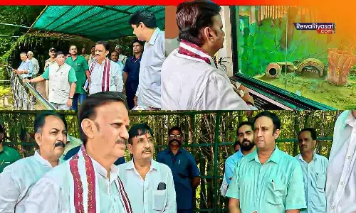 मुकुंदपुर को रीवा जिले में शामिल करने के प्रस्ताव के बीच डिप्टी सीएम राजेंद्र शुक्ल का टाइगर सफारी दौरा, सतना-मैहर के नेताओं की भौहें तनी