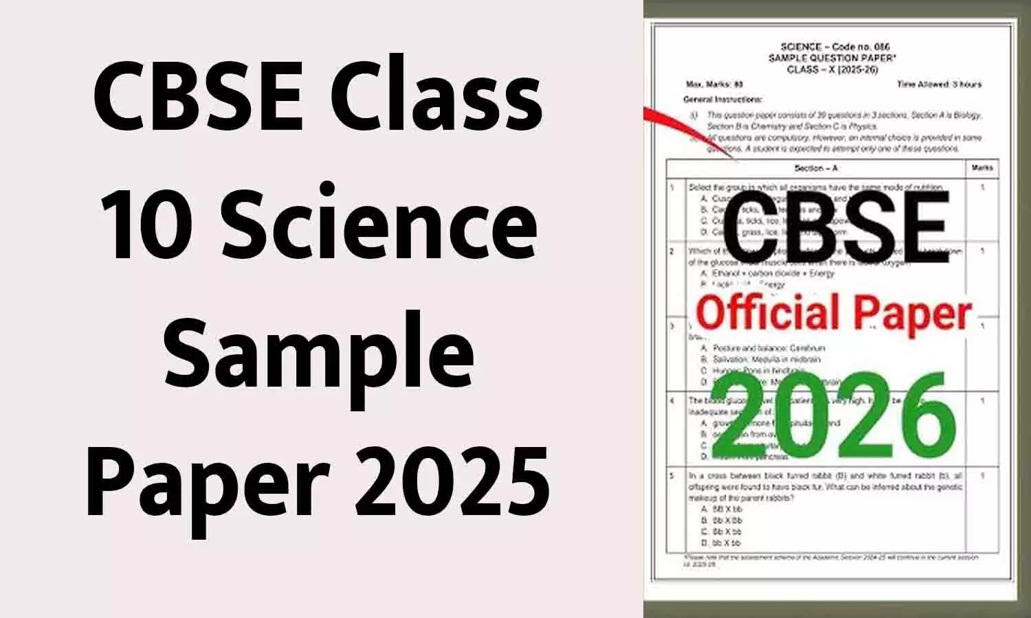CBSE Class 10 Science Sample Paper 2025 with Solution