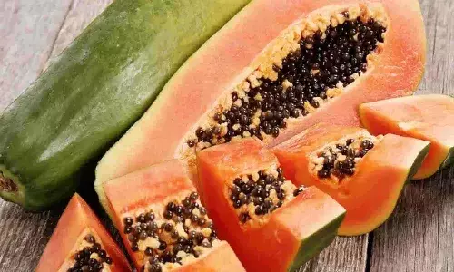 इन 5 चीजों के साथ भूलकर भी न खाएं पपीता, फायदे से ज्यादा नुकसान | Papaya Foods To Avoid
