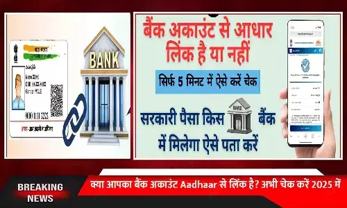 Aadhaar Bank Link Status Check