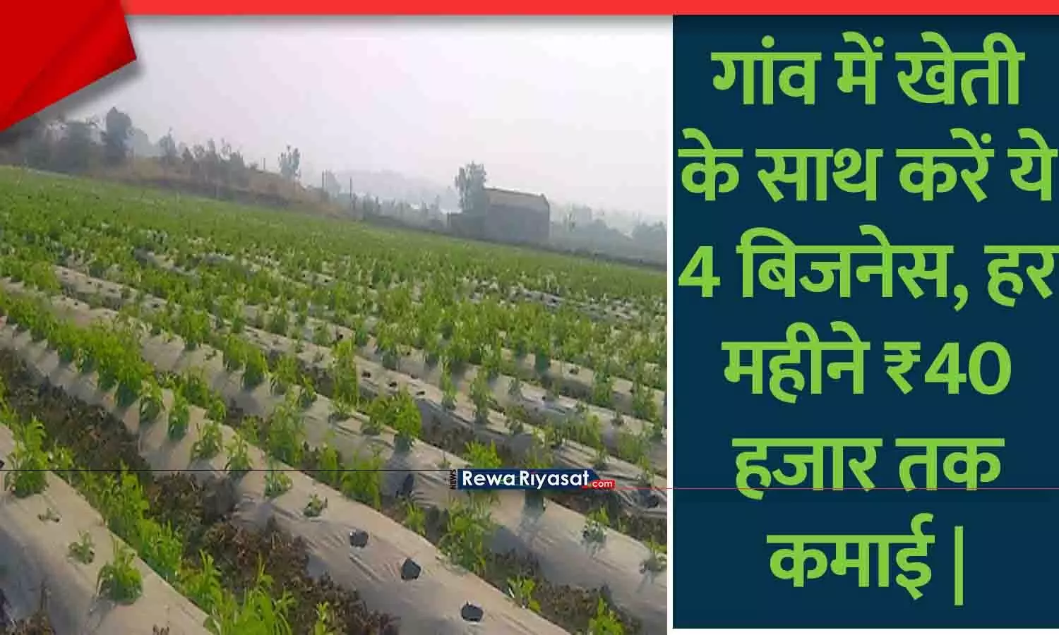 गांव में खेती के साथ करें ये 4 बिजनेस, हर महीने ₹40 हजार तक कमाई