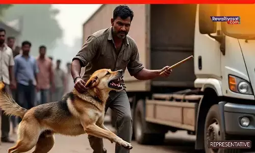 रीवा में कुत्ते के हमले से ट्रक चालक की मौत रीवा में कुत्ते के हमले से ट्रक चालक की मौत