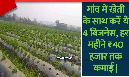 गांव में खेती के साथ करें ये 4 बिजनेस, हर महीने ₹40 हजार तक कमाई