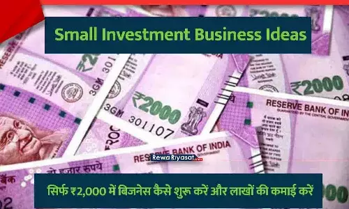Start Business With 2000 Rs Small Investment Business Idea