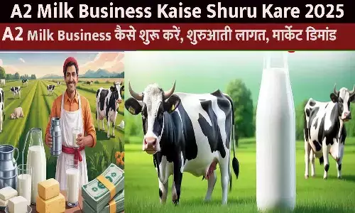 A2 Milk Business Kaise Shuru Kare 2025