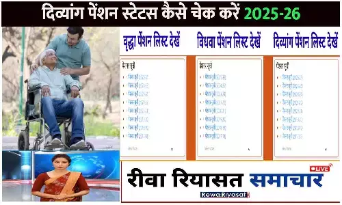Divyang Pension Status Check 2025-26