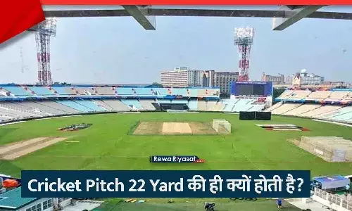 Cricket Pitch 22 Yards Length Dimensions Diagram Stumps Wickets 20.12 Meters