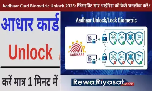 Aadhaar Card Biometric Unlock 2025