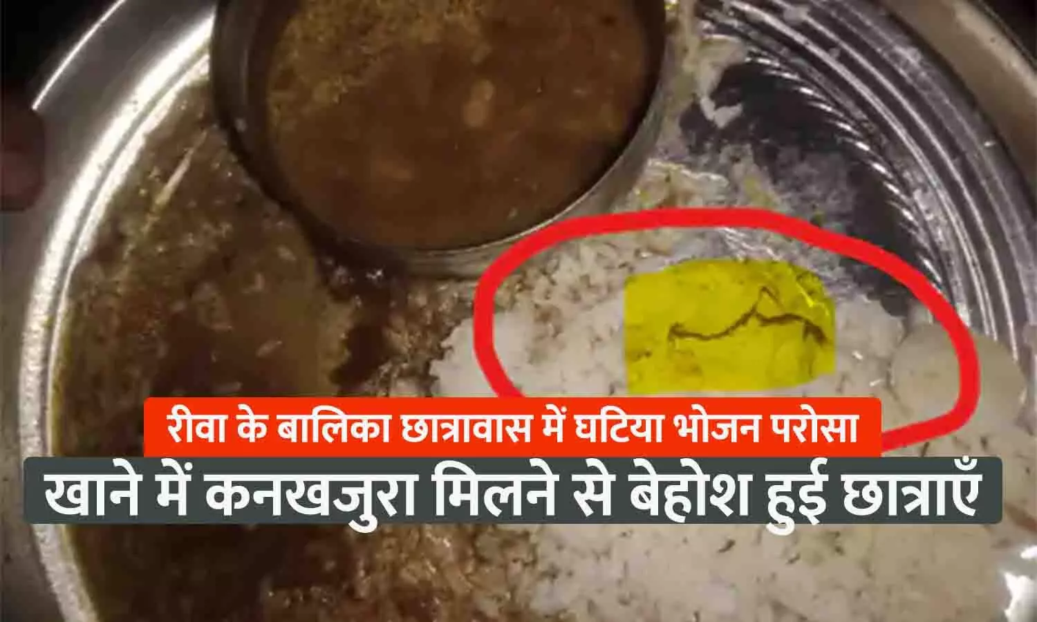 रीवा में बालिका छात्रावास में परोसा घटिया भोजन: दाल में कीड़ा निकलने से छात्राओं की तबियत बिगड़ी, आरोप-रोज कीड़े, बाल और पत्थर मिलते हैं रीवा में बालिका छात्रावास में परोसा घटिया भोजन: दाल में कीड़ा निकलने से छात्राओं की तबियत बिगड़ी, आरोप-रोज कीड़े, बाल और पत्थर मिलते हैं