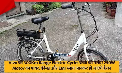 Vivo Premium Electric Bike 2025 300Km 250W Motor