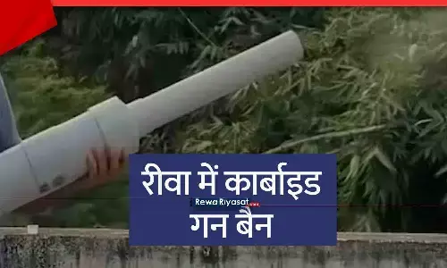 रीवा में कार्बाइड गन पर सख्त रोक, कलेक्टर ने जारी किया आदेश; दीपावली पर कई लोगों की आंखे खराब हुई थी