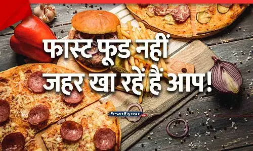 Health News: Pizza, Burger जैसे जंक फूड और प्रोसेस्ड फूड से बढ़ रहा कैंसर और हृदय रोग का खतरा, डॉक्टरों ने दी चेतावनी