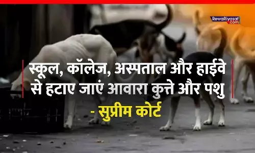 सुप्रीम कोर्ट का बड़ा आदेश: स्कूल, कॉलेज, अस्पताल और हाईवे से हटाए जाएं आवारा कुत्ते और पशु, वापस उसी जगह नहीं छोड़े जाएंगे सुप्रीम कोर्ट का बड़ा आदेश: स्कूल, कॉलेज, अस्पताल और हाईवे से हटाए जाएं आवारा कुत्ते और पशु, वापस उसी जगह नहीं छोड़े जाएंगे