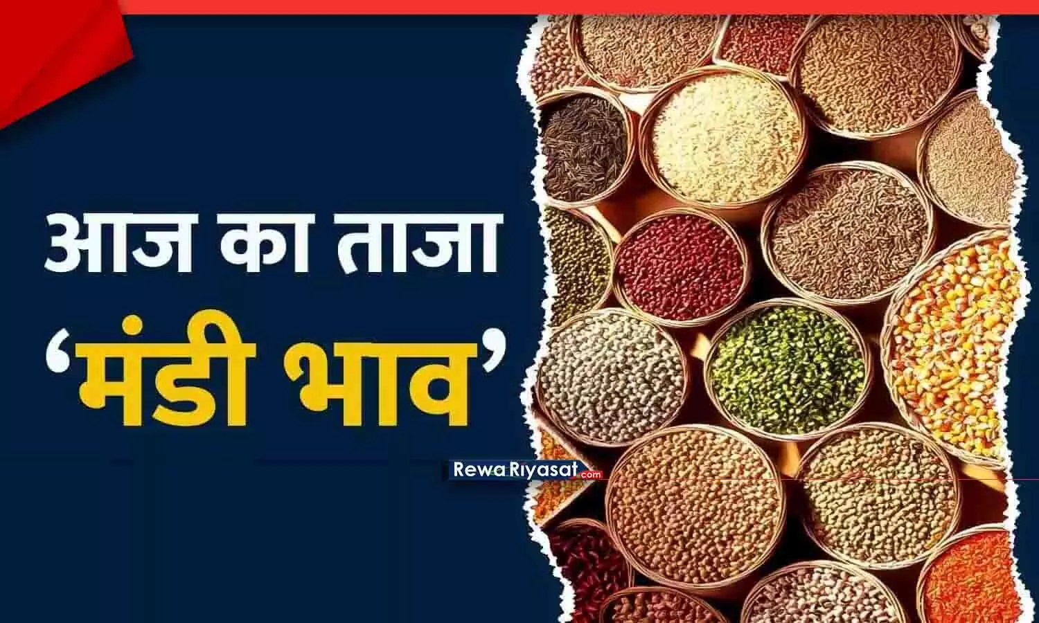 रीवा बाजार भाव 22 नवंबर 2025: गेहूं–चना–उड़द रेट, सोना-चांदी कीमतें, सब्जियों-अंडे और सीमेंट-सरिया के ताज़ा दाम रीवा बाजार भाव 22 नवंबर 2025: गेहूं–चना–उड़द रेट, सोना-चांदी कीमतें, सब्जियों-अंडे और सीमेंट-सरिया के ताज़ा दाम