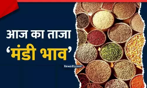 रीवा बाजार भाव 22 नवंबर 2025: गेहूं–चना–उड़द रेट, सोना-चांदी कीमतें, सब्जियों-अंडे और सीमेंट-सरिया के ताज़ा दाम