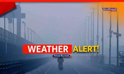 Rewa Weather Update: रीवा में बढ़ी सर्द हवाएं, सुबह-शाम छाया हल्का कोहरा | दिन-रात गिर रहा तापमान Rewa Weather Update: रीवा में बढ़ी सर्द हवाएं, सुबह-शाम छाया हल्का कोहरा | दिन-रात गिर रहा तापमान
