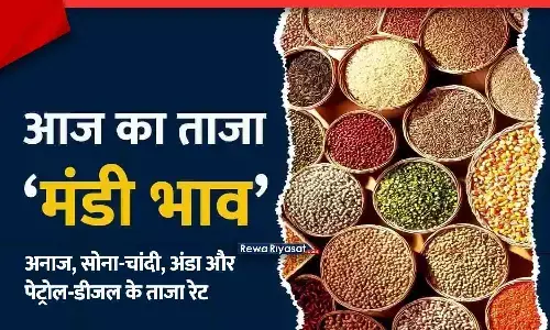 रीवा बाजार भाव 13 नवंबर 2025: आज के अनाज, सोना-चांदी, अंडा और पेट्रोल-डीजल ताज़ा रेट