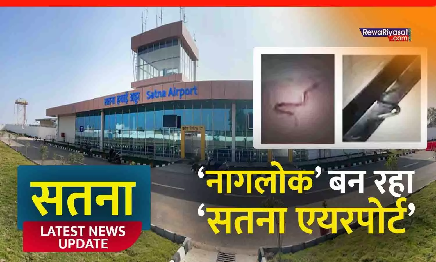 ‘नागलोक’ में बदल रहा सतना एयरपोर्ट! किंग कोबरा और पाइथन दिखने से हड़कंप, सुरक्षा कर्मियों में दहशत