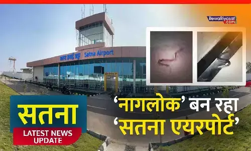 ‘नागलोक’ में बदल रहा सतना एयरपोर्ट! किंग कोबरा और पाइथन दिखने से हड़कंप, सुरक्षा कर्मियों में दहशत ‘नागलोक’ में बदल रहा सतना एयरपोर्ट! किंग कोबरा और पाइथन दिखने से हड़कंप, सुरक्षा कर्मियों में दहशत