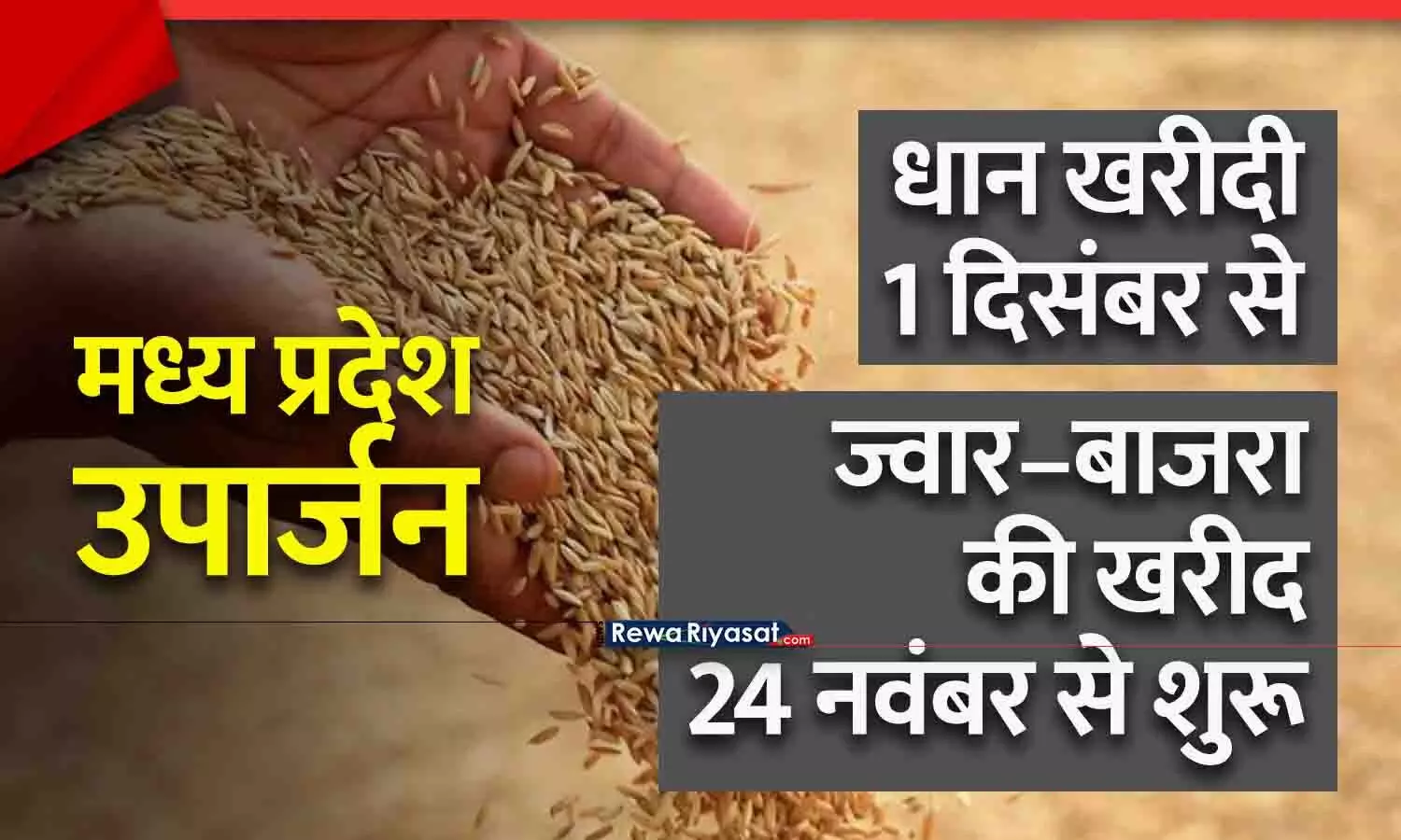 MP उपार्जन: सरकार ने MSP शेड्यूल जारी किया, धान खरीदी 1 दिसंबर से; ज्वार–बाजरा की खरीद 24 नवंबर से शुरू MP उपार्जन: सरकार ने MSP शेड्यूल जारी किया, धान खरीदी 1 दिसंबर से; ज्वार–बाजरा की खरीद 24 नवंबर से शुरू